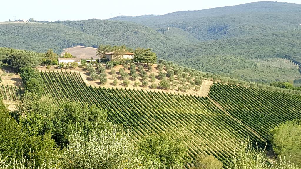 Il Palagione Villa San Gimignano Ngoại thất bức ảnh