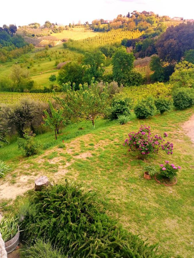 Il Palagione Villa San Gimignano Ngoại thất bức ảnh