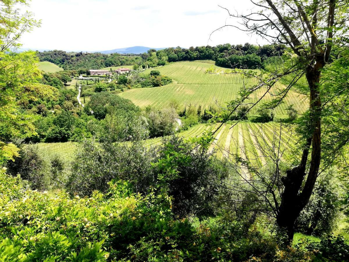 Il Palagione Villa San Gimignano Ngoại thất bức ảnh